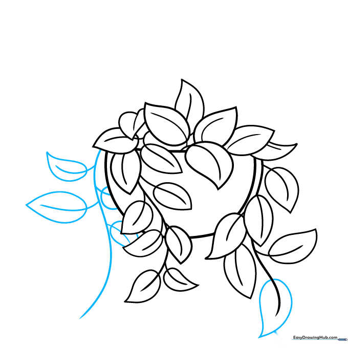 Sketch showing new vines and leaves emerging from behind the hanging pot.