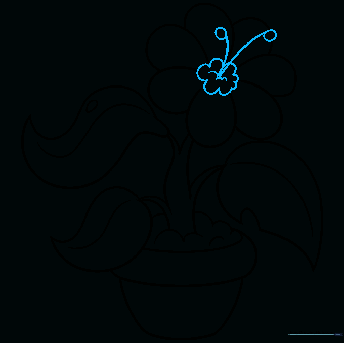 Drawing the flower center and pollen-bearing filaments.