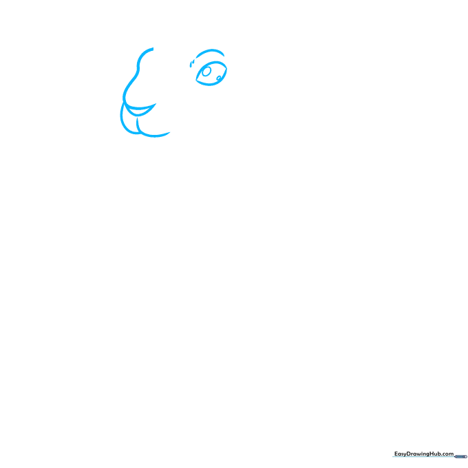 Pencil sketch of a prairie dog head showing basic oval eye shapes and a crescent nose guide.