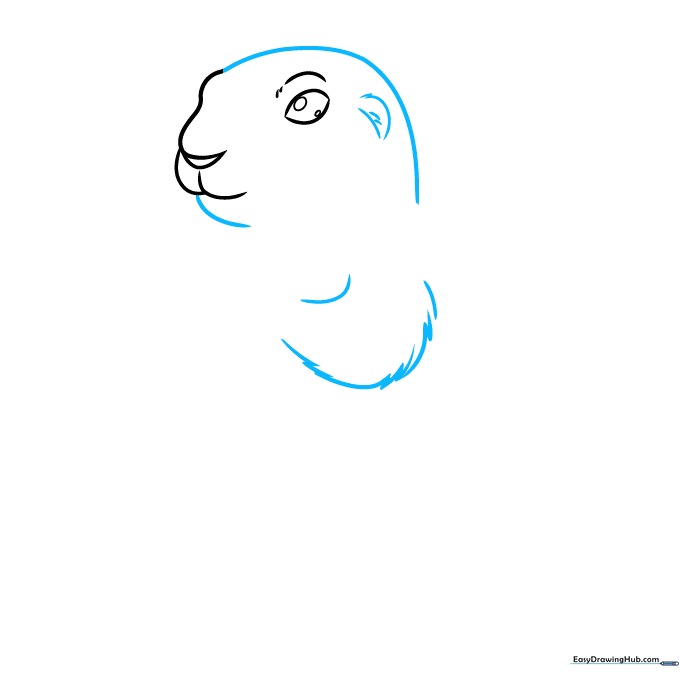 Drawing the outline of the prairie dog head and adding a textured ear shape.