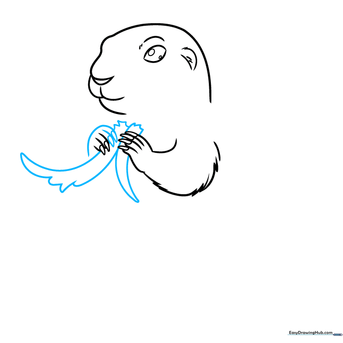 Adding the arms and chest fur detail to the prairie dog drawing.