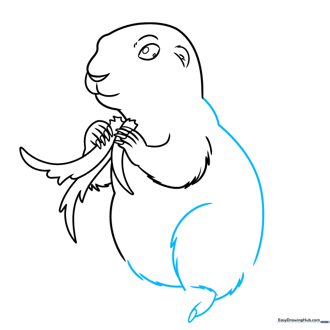 Drawing the back and leg section of the prairie dog.