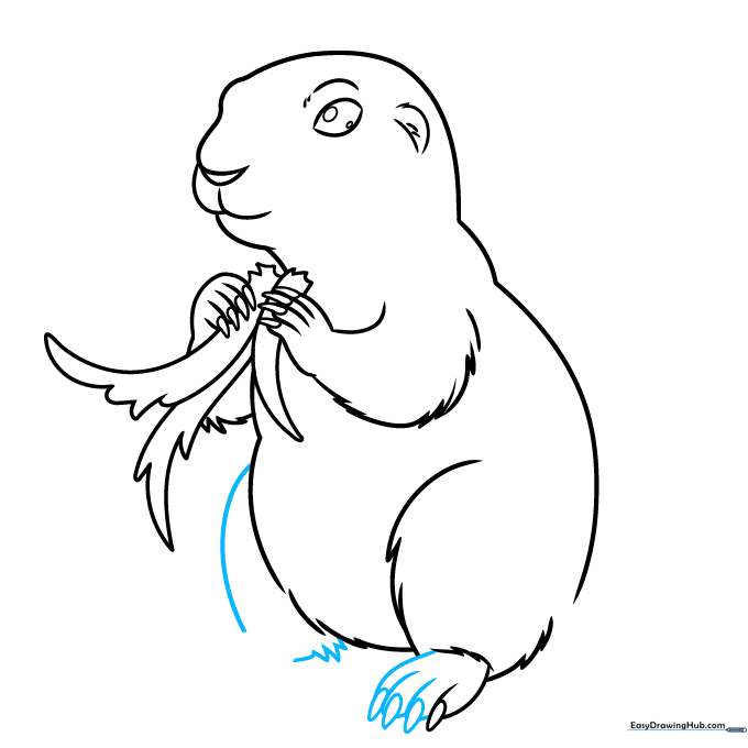 Adding detail to the feet and toes of the prairie dog.