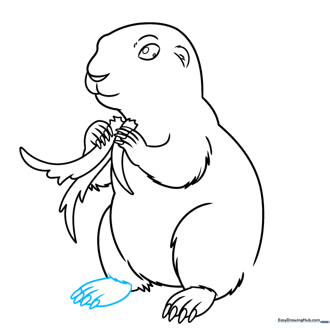 Refining the foot and claw details of the prairie dog.