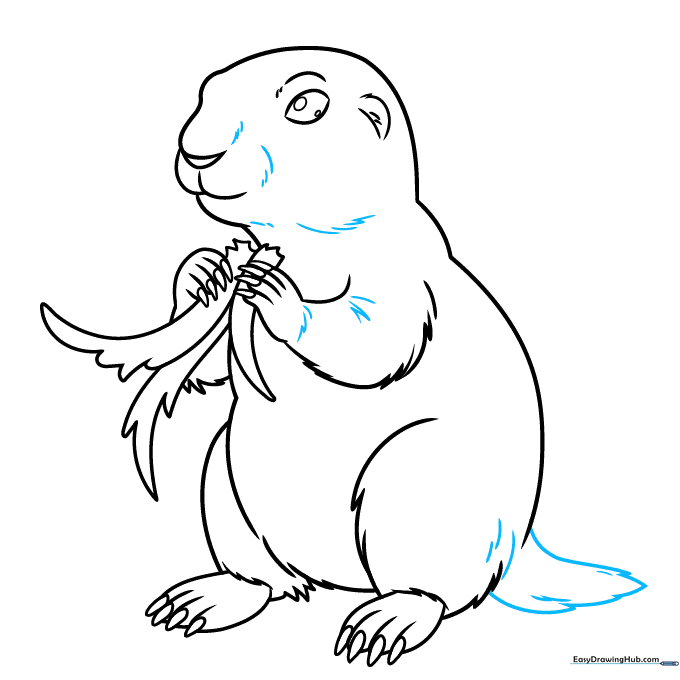 Final line art of the prairie dog with fur texture and tail details.