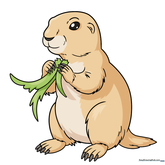 Fully colored prairie dog drawing with tan and brown fur and green grass.