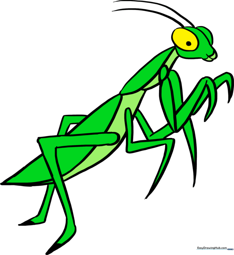 A colorful, finished illustration of a praying mantis, perfect for kids' art projects.