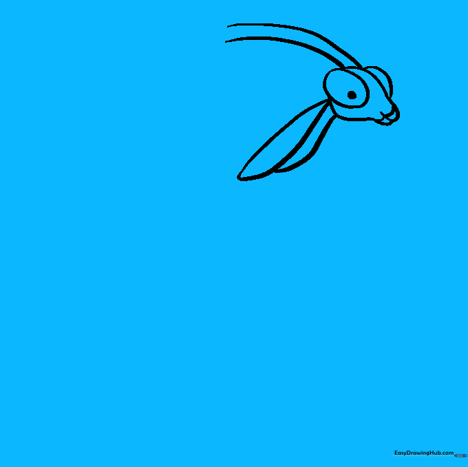 Outlining the folded wings and the long, tapered abdomen of the praying mantis.