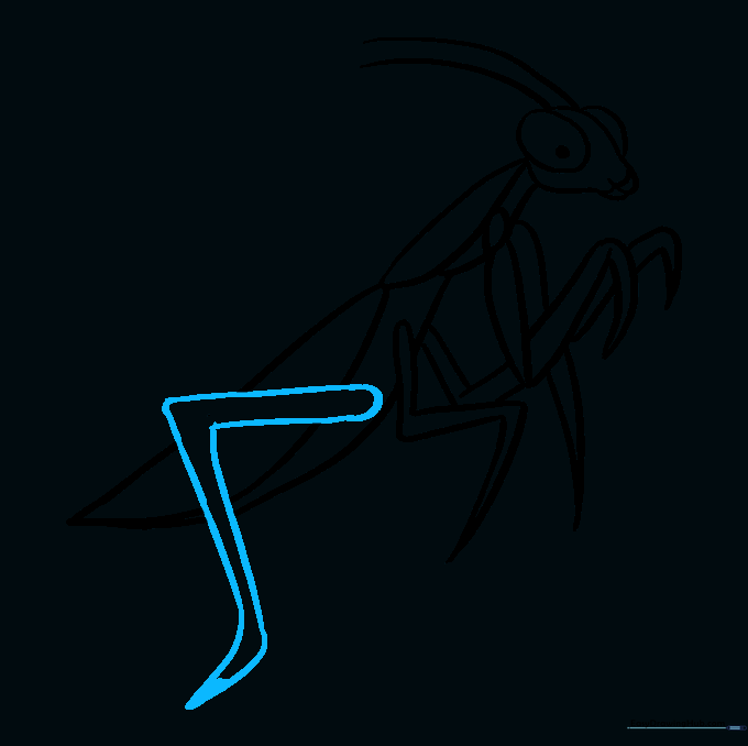 Adding the long rear walking leg with a shaded foot tip.