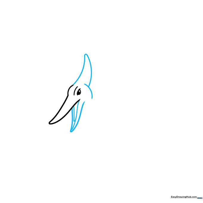 Pencil sketch adding the Pteranodon's head crest and lower jaw structure.