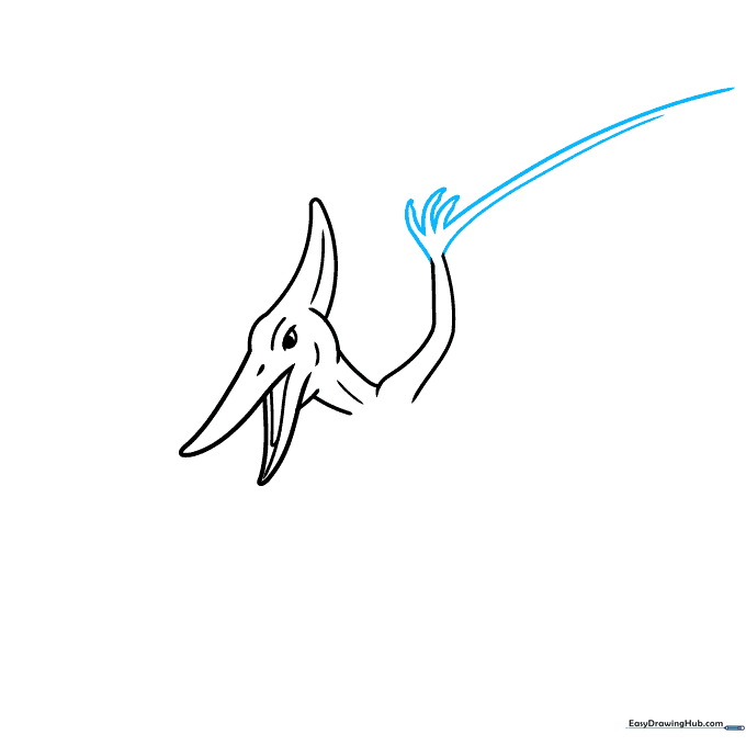 Pencil sketch detailing the Pteranodon's hand and long finger structure.