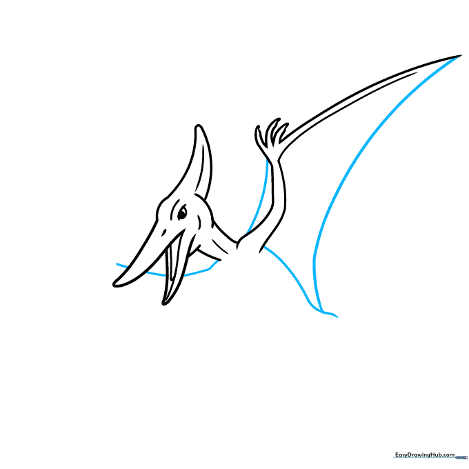 Pencil sketch showing the body outline and the top of the wing.