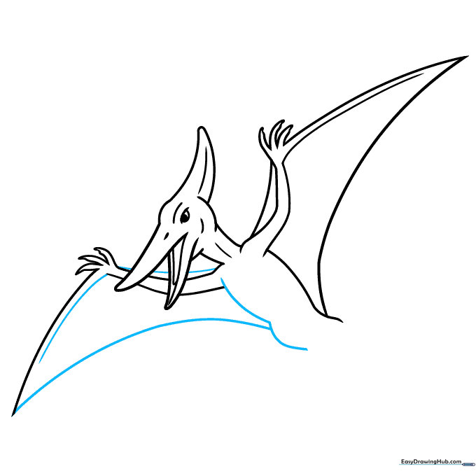 Pencil sketch refining the wing and belly contours.