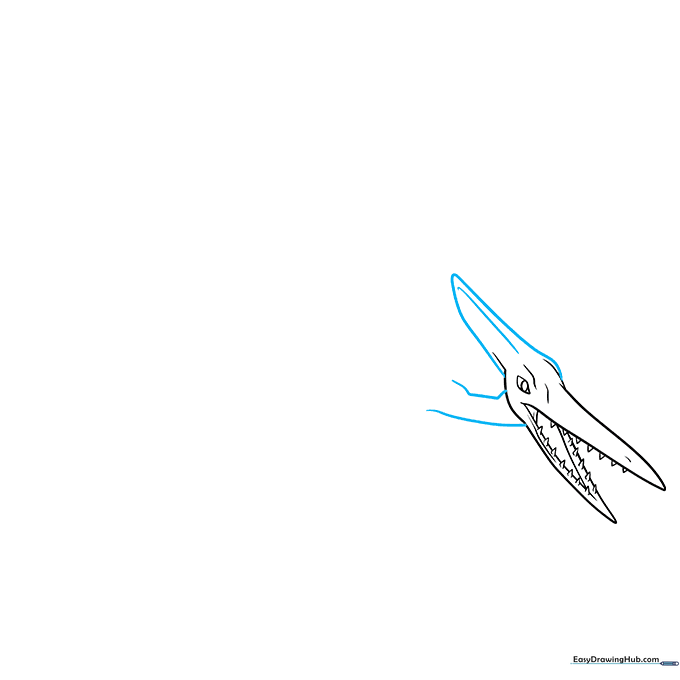 Drawing the neck and the iconic head crest of the Pterodactyl.