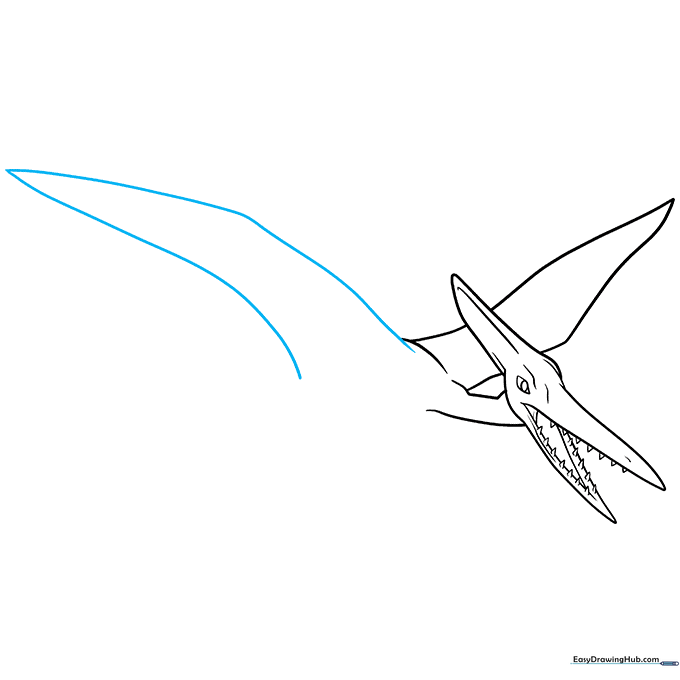Expanding the wing span to show the full scale of the Pterodactyl in flight.