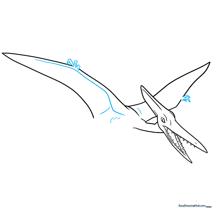 Adding texture lines and details to the Pterodactyl wings.