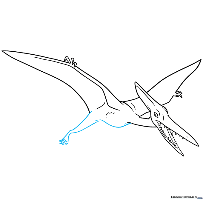 Adding the legs and claws to the Pterodactyl body.