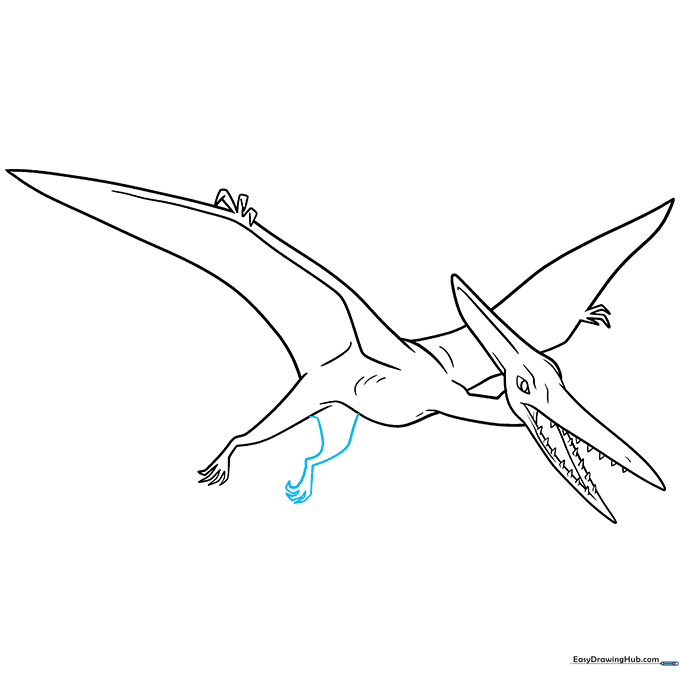Final inked outline of the Pterodactyl, ready for coloring.