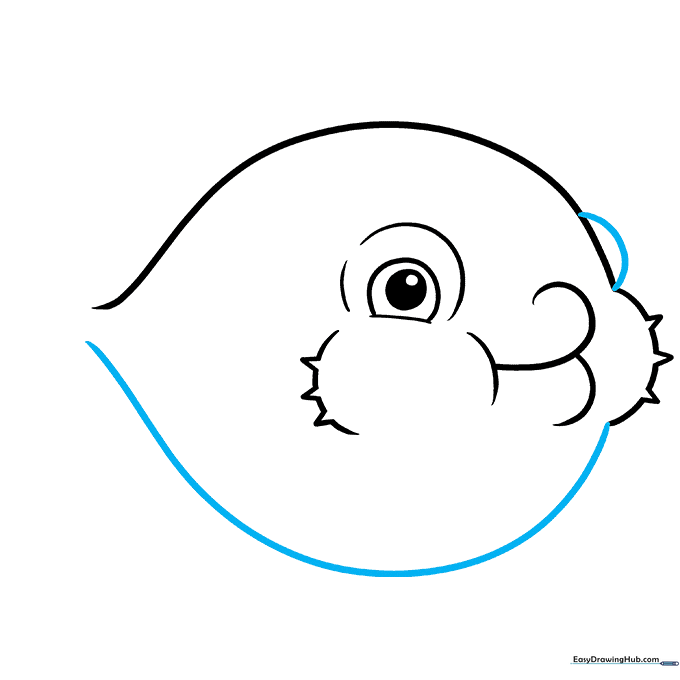 Pencil sketch showing the completion of the pufferfish's round body shape and the placement of the second eye.