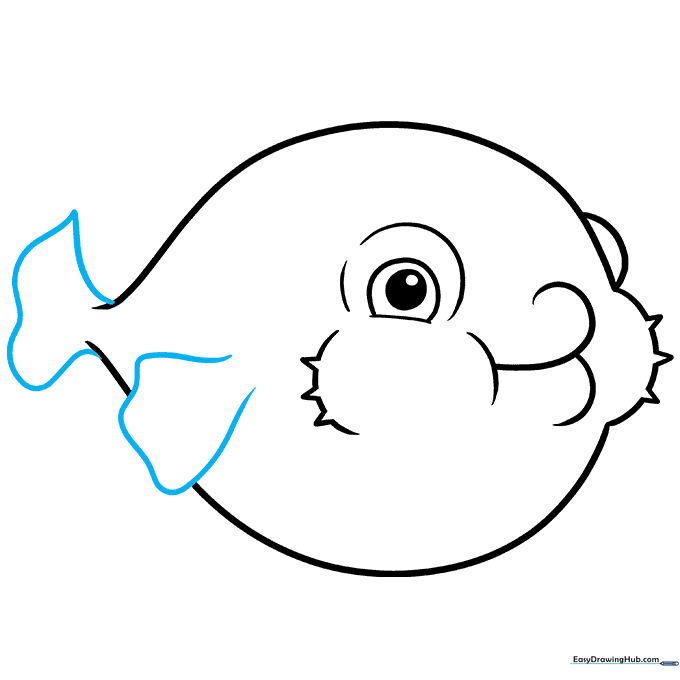 Pencil sketch showing the addition of wavy fins and a tail to the pufferfish body.