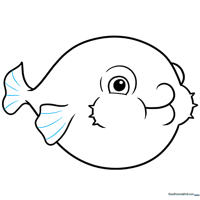 Pencil sketch showing the addition of curved detail lines on the fins and tail of the pufferfish.