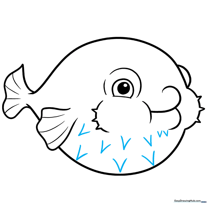 Pencil sketch showing the addition of small 'V' shaped spikes along the belly of the pufferfish.