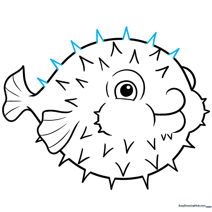 Pencil sketch showing the final outline of the pufferfish with all spikes completed and guide lines erased.
