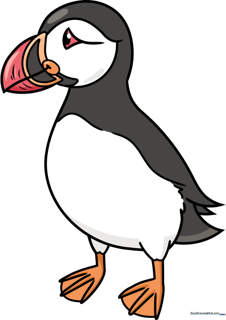 Colorful illustration of a friendly cartoon puffin standing on a rock.