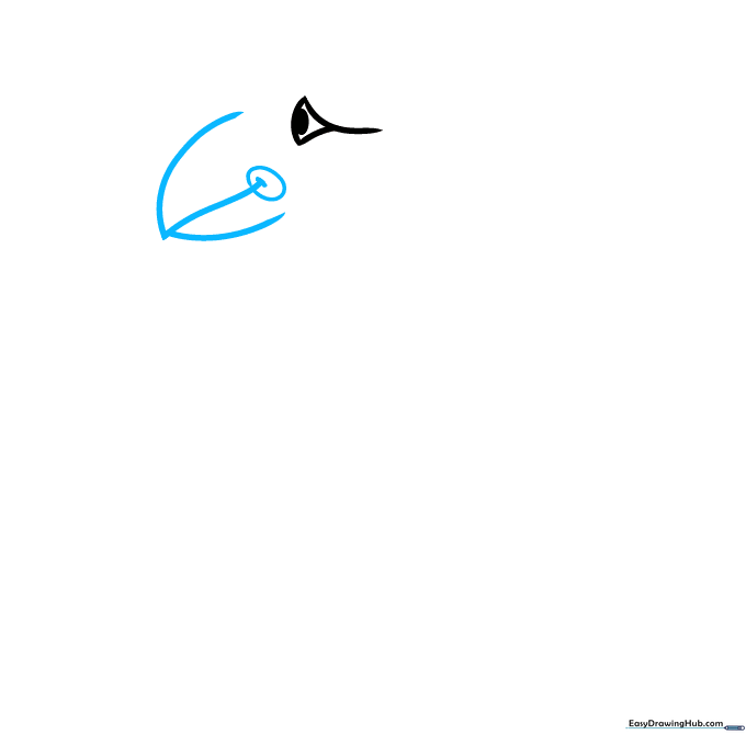 Drawing the puffin's large, rounded beak with curved lines.