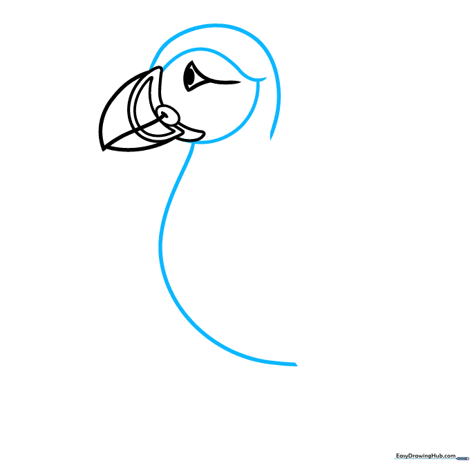 Outlining the puffin's head and round belly with long, smooth curves.