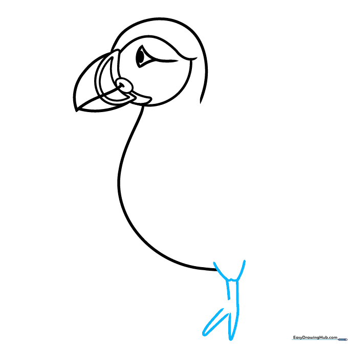 Drawing the puffin's webbed foot using a W-shape and straight lines.