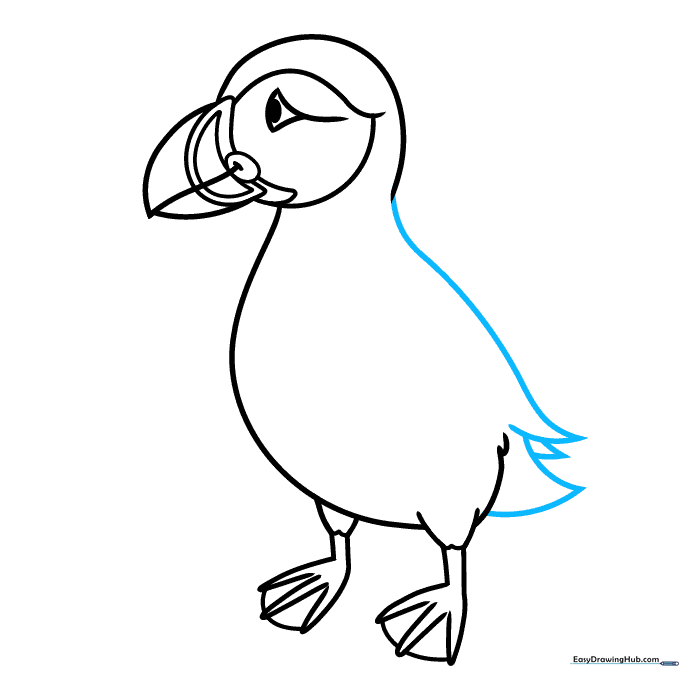 Drawing the puffin's tail feathers using overlapping curved lines.