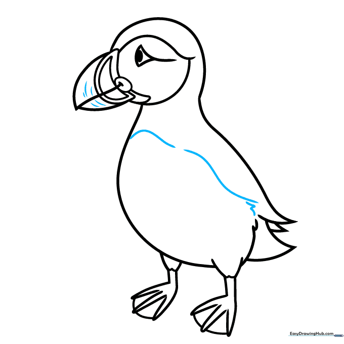 Finalizing the puffin outline with clean, refined lines.