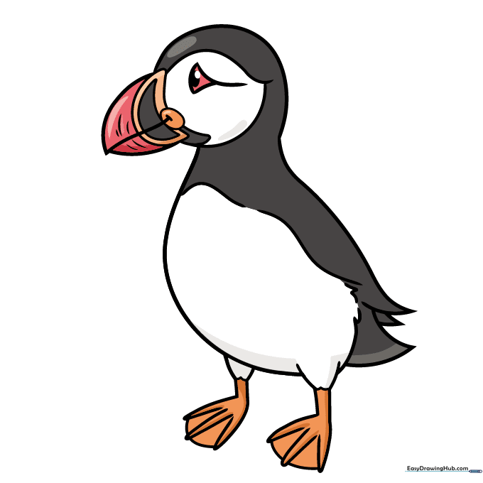 A fully colored, vibrant cartoon puffin with a bright orange and yellow beak.