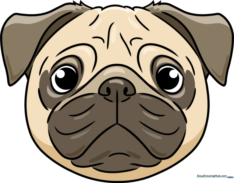 A friendly, finished cartoon pug face, perfect for young artists to emulate.