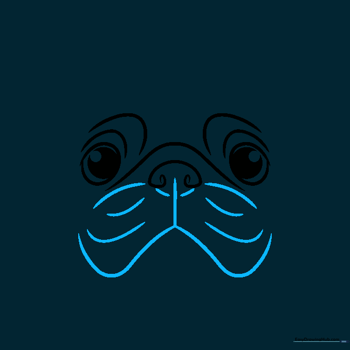 Sketch showing the pug's mouth and characteristic skin folds.