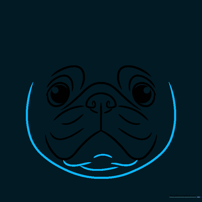 Oval outline defining the shape of the pug's head.