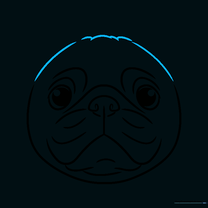 Adding texture to the top of the pug's head with short, sketchy lines.