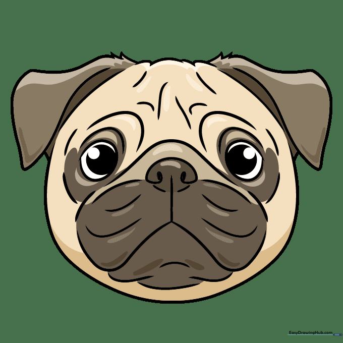Final colored pug face illustration with tan fur and brown accents.