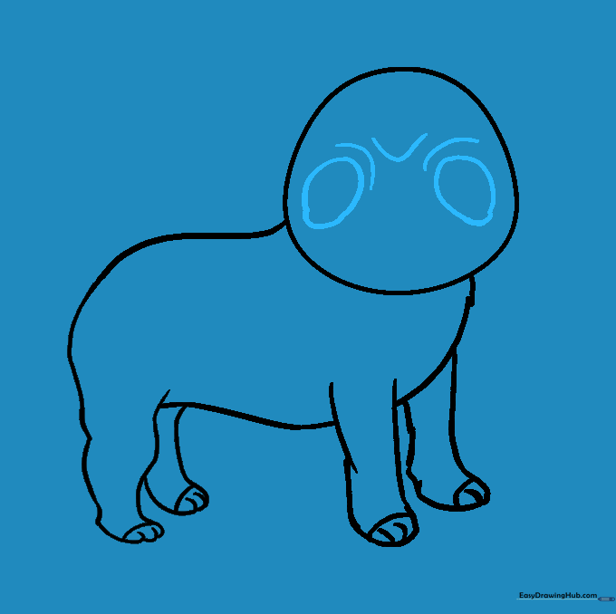 Drawing the pug's eyes and wrinkled brow