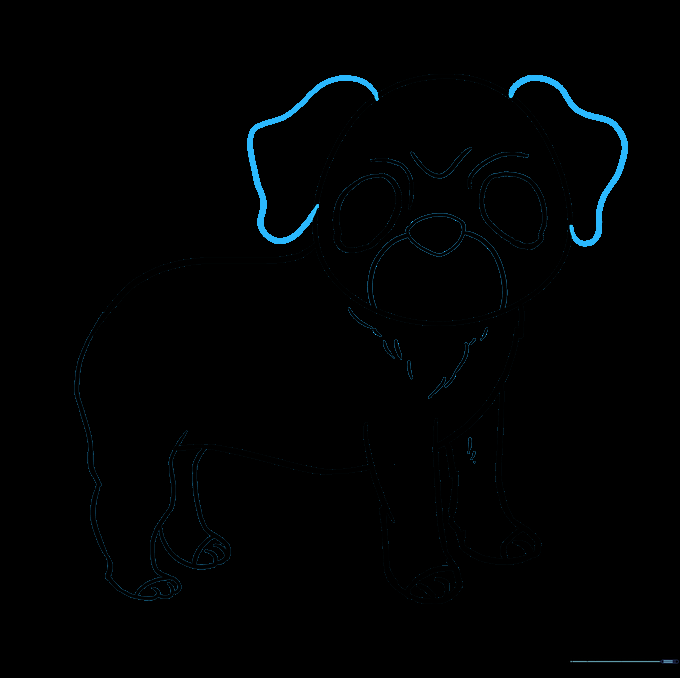 Drawing the pug's floppy ears on the sides of the head