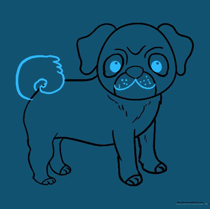 Adding the curly tail and final facial features to the pug