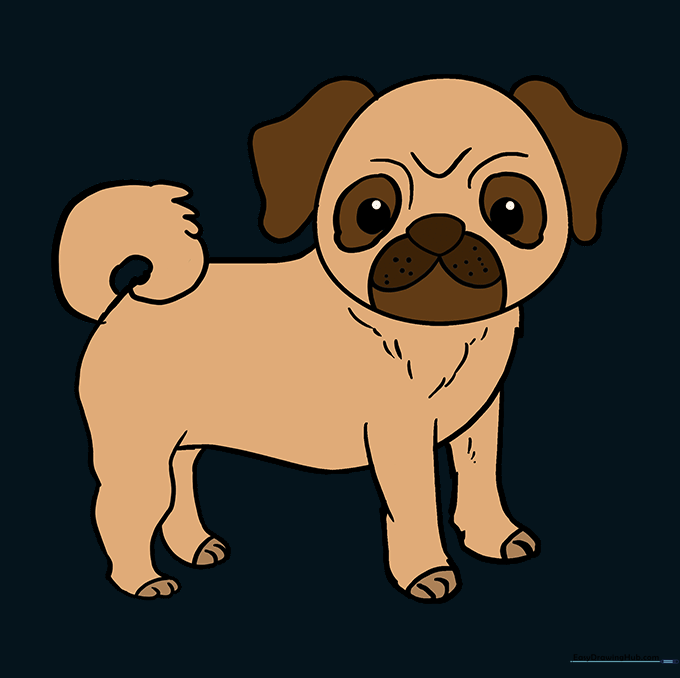 Final colored pug drawing