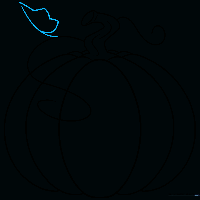 Pencil sketch showing the outline of a large, jagged pumpkin leaf attached to the vine.