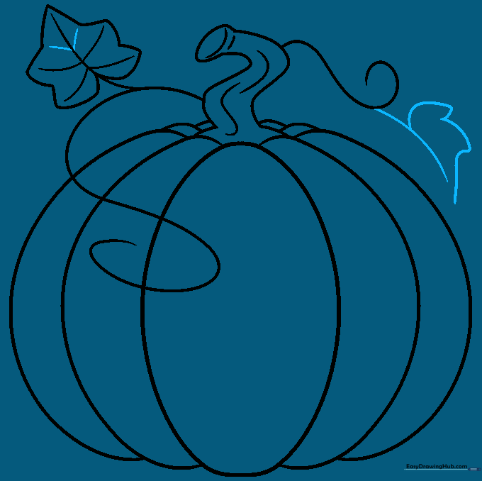Pencil sketch showing a second leaf being added to the pumpkin vine.