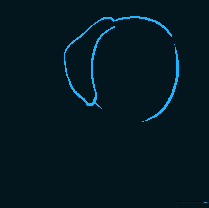 Line drawing of a puppy head outline with one floppy ear attached.
