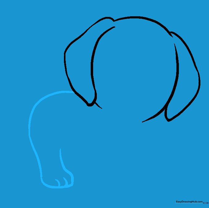 Outline of a puppy back and rear leg with toe details.