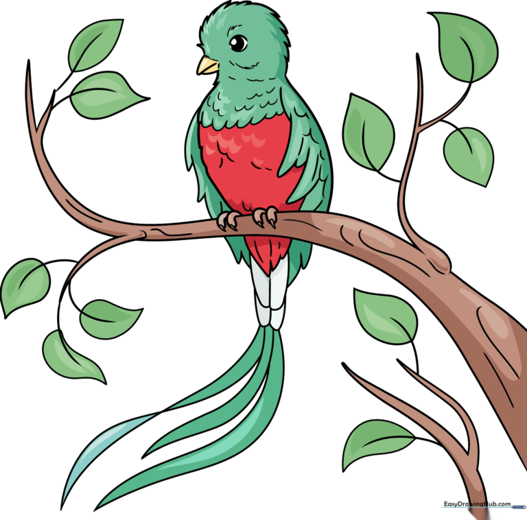 A colorful, finished drawing of a Resplendent Quetzal perched on a branch.