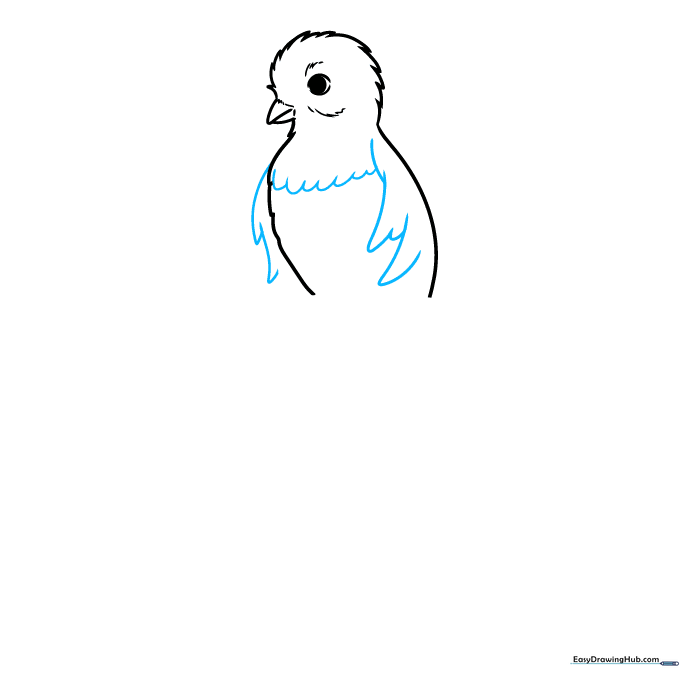 Drawing the wing feathers using repetitive U-shaped lines.