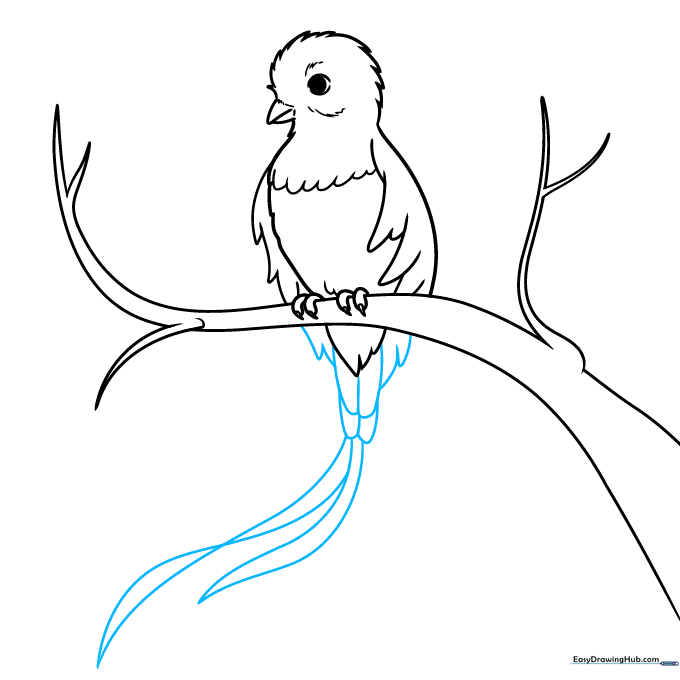 Adding the long, flowing tail feathers characteristic of the Quetzal.